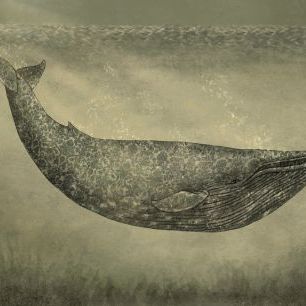 輸入壁紙 カスタム壁紙 PHOTOWALL / Damask Whale (e320016)