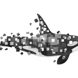 輸入壁紙 カスタム壁紙 PHOTOWALL / Fractured Killer Whale Grayscale (e320023)