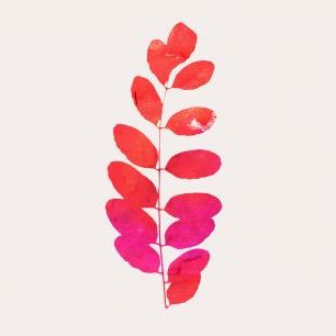 輸入壁紙 カスタム壁紙 PHOTOWALL / Leaf Print - Pink (e319448)