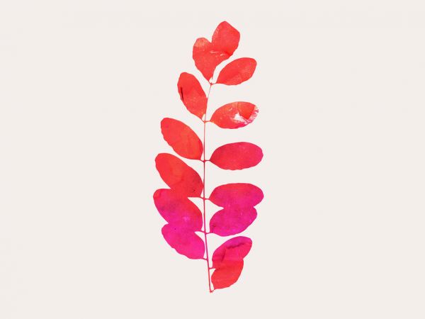 輸入壁紙 カスタム壁紙 PHOTOWALL / Leaf Print - Pink (e319448)