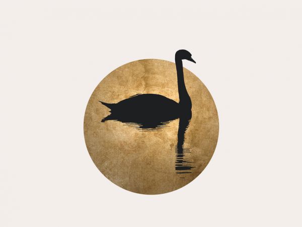 輸入壁紙 カスタム壁紙 PHOTOWALL / Swan (e319463)
