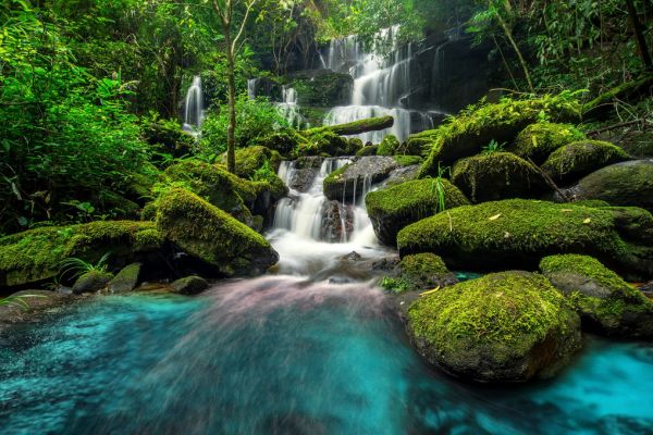 輸入壁紙 カスタム壁紙 PHOTOWALL / Waterfall in Green Forest (e318273)