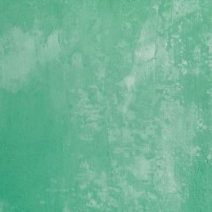 輸入壁紙 カスタム壁紙 PHOTOWALL / Old Green Concrete Wall (e318156)