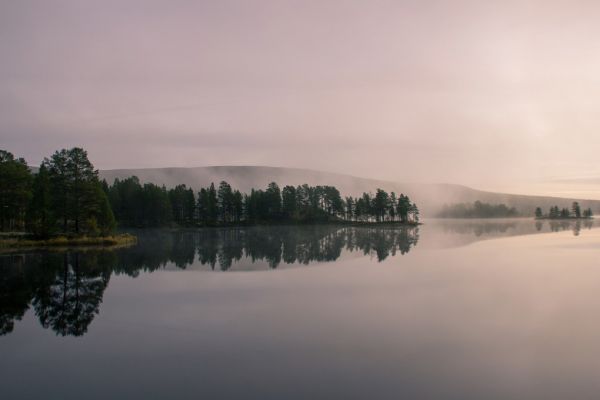 輸入壁紙 カスタム壁紙 PHOTOWALL / Lake and Forest at Dawn (e318405)