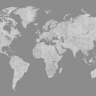 輸入壁紙 カスタム壁紙 PHOTOWALL / Voguish World Map - Dark Gray (e320772)