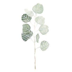 輸入壁紙 カスタム壁紙 PHOTOWALL / Soft Eucalyptus Branch (e320504)