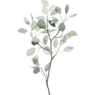 輸入壁紙 カスタム壁紙 PHOTOWALL / Seaglass Eucalyptus (e320524)
