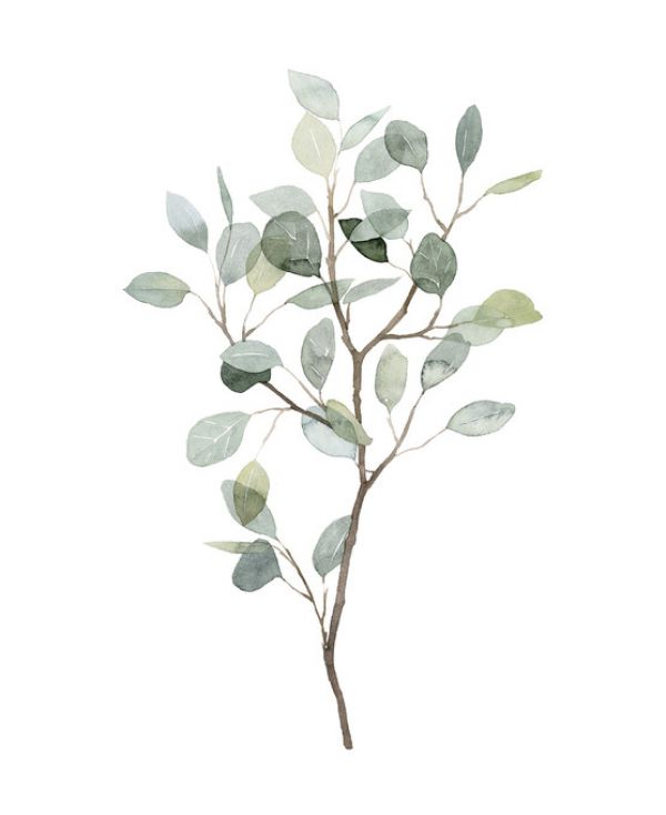 輸入壁紙 カスタム壁紙 PHOTOWALL / Seaglass Eucalyptus (e320524)