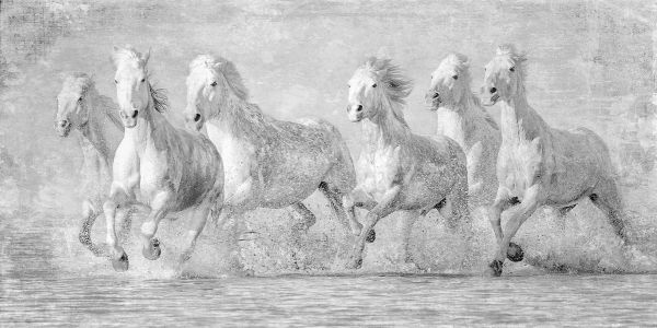 輸入壁紙 カスタム壁紙 PHOTOWALL / Water Horses (e320612)