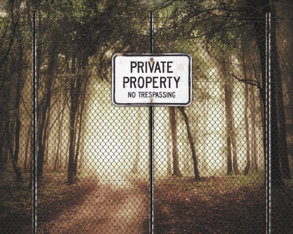 輸入壁紙 カスタム壁紙 PHOTOWALL / Privat Property (e320897)