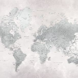 輸入壁紙 カスタム壁紙 PHOTOWALL / World Map - Ash-Green (e320844)