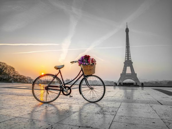 輸入壁紙 カスタム壁紙 PHOTOWALL / Bicycle Paris (e321040)