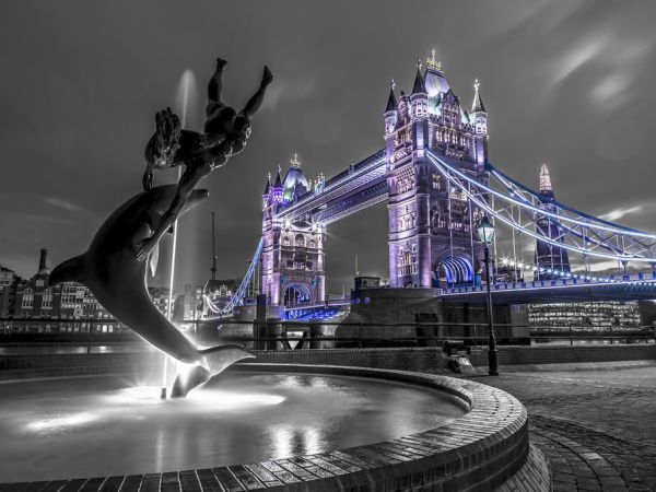 輸入壁紙 カスタム壁紙 PHOTOWALL / Tower Bridger at Night - London (e321049)