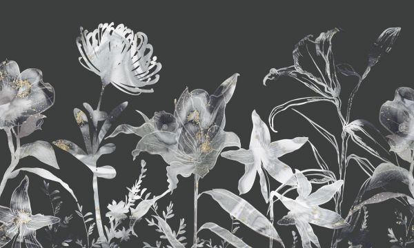 輸入壁紙 カスタム壁紙 PHOTOWALL / Floral Sway - Black (e321286)