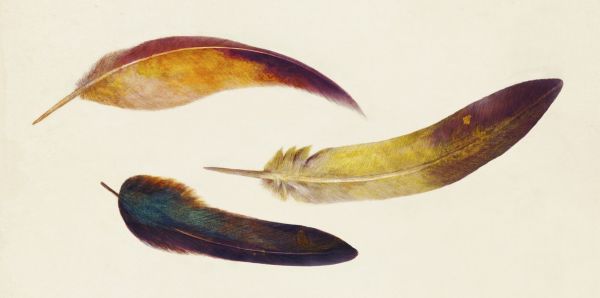輸入壁紙 カスタム壁紙 PHOTOWALL / Three Feathers Landscape (e320082)