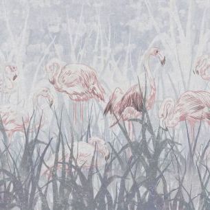 輸入壁紙 カスタム壁紙 PHOTOWALL / Flamingos in the Grass - Gray (e321308)