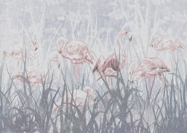 輸入壁紙 カスタム壁紙 PHOTOWALL / Flamingos in the Grass - Gray (e321308)