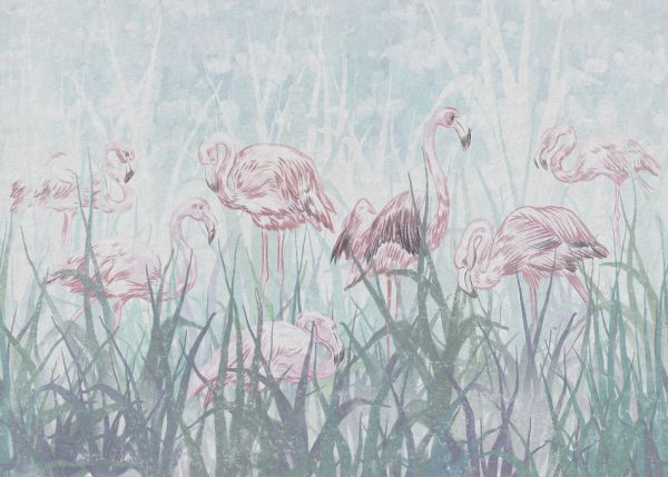 輸入壁紙 カスタム壁紙 PHOTOWALL / Flamingos in the Grass (e321309)