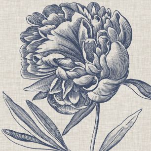 輸入壁紙 カスタム壁紙 PHOTOWALL / Indigo Floral on Linen II (e320269)