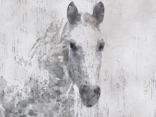 輸入壁紙 カスタム壁紙 PHOTOWALL / Dapple Horse (e320313)
