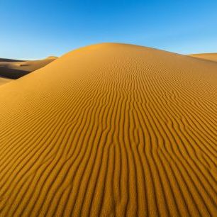 輸入壁紙 カスタム壁紙 PHOTOWALL / Desert Dunes (e321803)