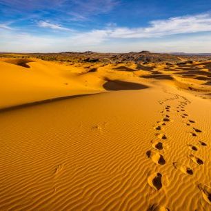 輸入壁紙 カスタム壁紙 PHOTOWALL / Desert Dunes IIII (e321806)