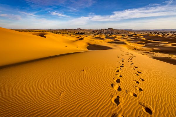 輸入壁紙 カスタム壁紙 PHOTOWALL / Desert Dunes IIII (e321806)