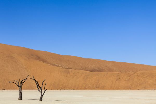 輸入壁紙 カスタム壁紙 PHOTOWALL / Desert Dunes VI (e321811)