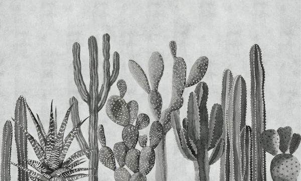 輸入壁紙 カスタム壁紙 PHOTOWALL / Atacama Cactus - Bw (e321672)