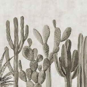 輸入壁紙 カスタム壁紙 PHOTOWALL / Atacama Cactus - Sepia (e321673)