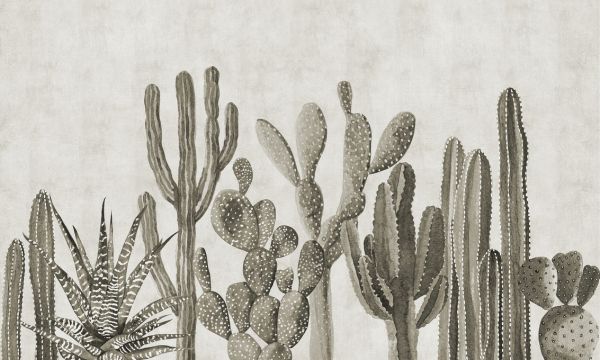 輸入壁紙 カスタム壁紙 PHOTOWALL / Atacama Cactus - Sepia (e321673)