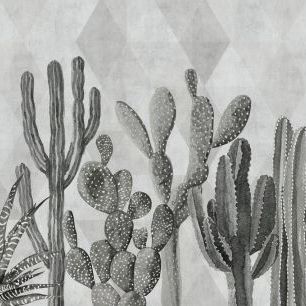 輸入壁紙 カスタム壁紙 PHOTOWALL / Atacama Cactus II - Bw (e321675)
