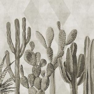 輸入壁紙 カスタム壁紙 PHOTOWALL / Atacama Cactus II - Sepia (e321676)