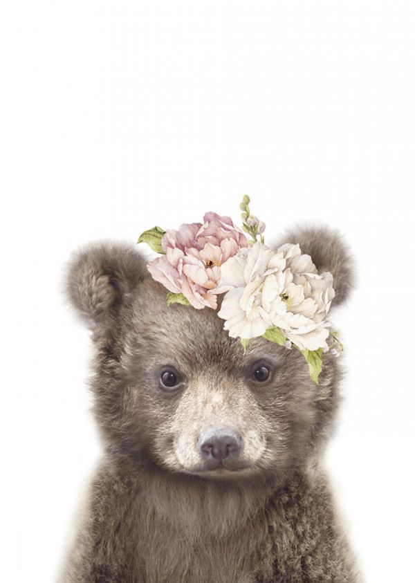 輸入壁紙 カスタム壁紙 PHOTOWALL / Floral Baby Bear (e322223)