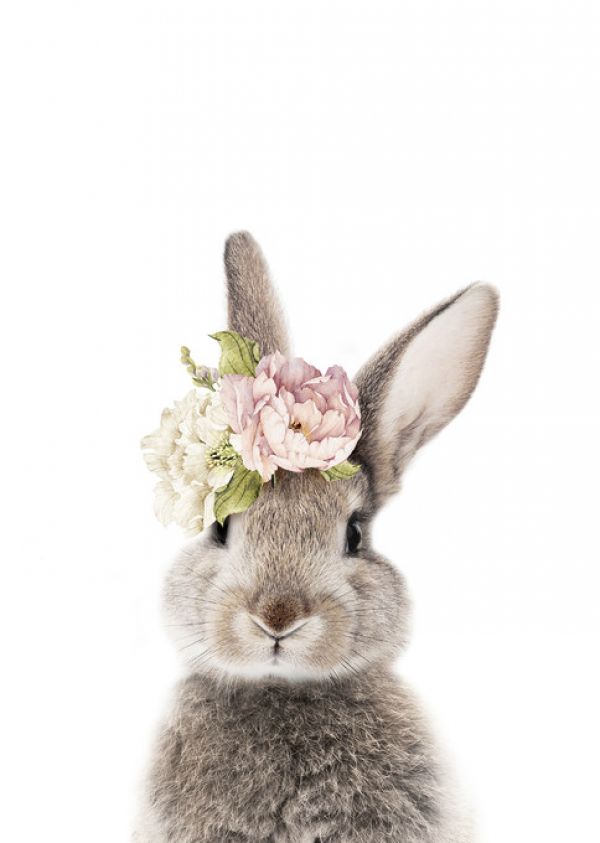 輸入壁紙 カスタム壁紙 PHOTOWALL / Floral Bunny (e322225)