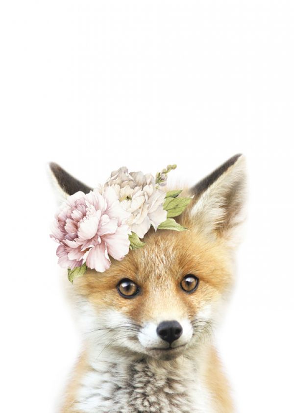 輸入壁紙 カスタム壁紙 PHOTOWALL / Floral Fox (e322228)