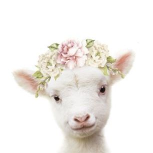 輸入壁紙 カスタム壁紙 PHOTOWALL / Floral Lamb (e322229)