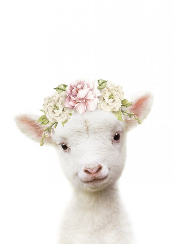 輸入壁紙 カスタム壁紙 PHOTOWALL / Floral Lamb (e322229)