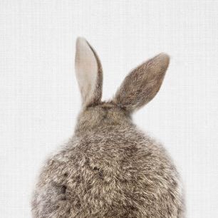 輸入壁紙 カスタム壁紙 PHOTOWALL / Bunny Rabbit Tail (e322755)