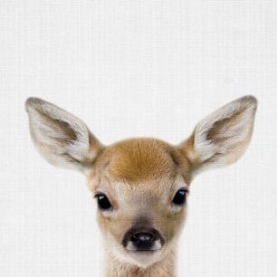 輸入壁紙 カスタム壁紙 PHOTOWALL / Baby Deer (e322756)