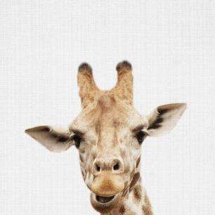輸入壁紙 カスタム壁紙 PHOTOWALL / Giraffe (e322762)