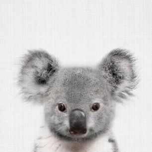 輸入壁紙 カスタム壁紙 PHOTOWALL / Baby Koala (e322766)