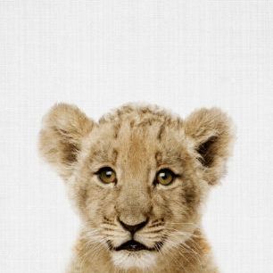 輸入壁紙 カスタム壁紙 PHOTOWALL / Baby Lion (e322771)