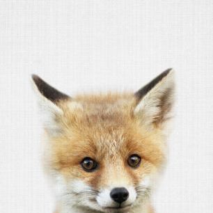 輸入壁紙 カスタム壁紙 PHOTOWALL / Baby Fox (e322780)