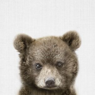 輸入壁紙 カスタム壁紙 PHOTOWALL / Baby Bear (e322781)