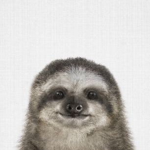 輸入壁紙 カスタム壁紙 PHOTOWALL / Baby Sloth (e322786)