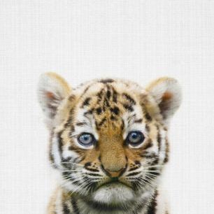 輸入壁紙 カスタム壁紙 PHOTOWALL / Baby Tiger (e322789)