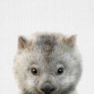 輸入壁紙 カスタム壁紙 PHOTOWALL / Baby Wombat (e322794)