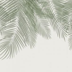 輸入壁紙 カスタム壁紙 PHOTOWALL / Hanging Palm Leaves - Beige-Green (e321936)