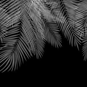輸入壁紙 カスタム壁紙 PHOTOWALL / Hanging Palm Leaves - Black-White (e321938)
